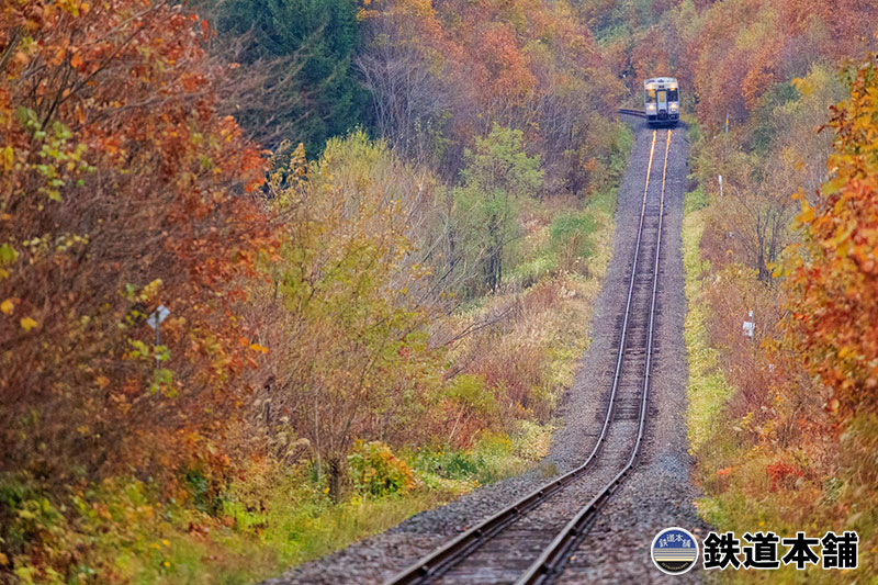 鉄道模型の勾配の役割とは